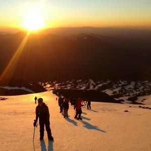 Meet your Posher, Pedro